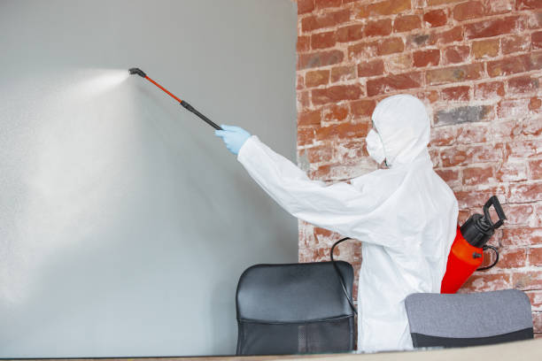 Best Mold Removal for HVAC Installations  in Keeler Farm, NM