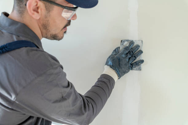 Best Post-Construction Mold Inspection  in Keeler Farm, NM