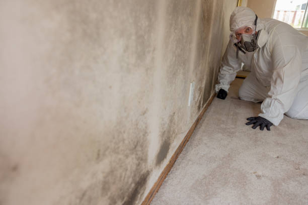 Best Biohazard Mold Removal  in Keeler Farm, NM