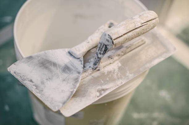 Best Black Mold Removal  in Keeler Farm, NM